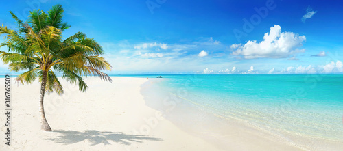 Plakat lato   piekna-palma-na-tropikalnej-wyspie-plazy-na-tle-niebieskiego-nieba-z-bialymi-chmurami-i