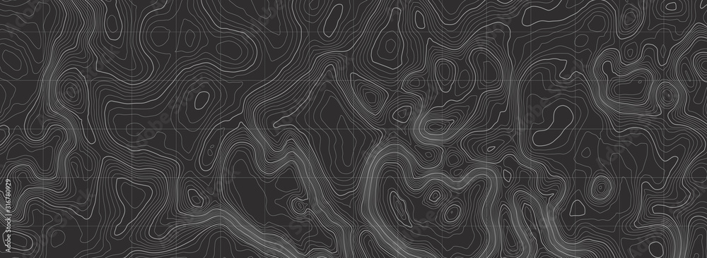 Background of the topographic map. Topographic map lines, contour background. Geographic abstract grid. EPS 10 vector illustration. - obrazy, fototapety, plakaty 