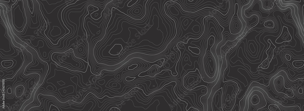 Background of the topographic map. Topographic map lines, contour background. Geographic abstract grid. EPS 10 vector illustration. - obrazy, fototapety, plakaty 