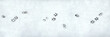 Banner of dog footprint. Pattern on white backdrop. Winter season symbol. Snowy weather. Winter walk. Stock photo.