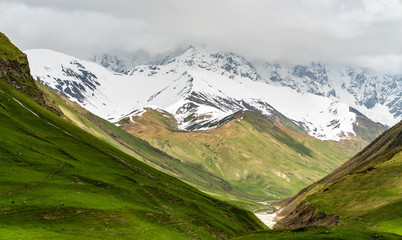 Poster - Shkhara Glacier near Ushguli village in the Caucasus Mountains, Georgia