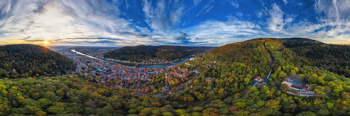 Wall Mural - Heidelberg City 360°