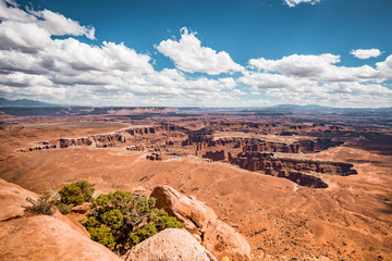 Wall Mural - island in the sky in canyonlands national park, utah, usa