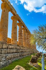 Wall Mural - Temple of Juno (Tempio di Giunone) Hera. Valle dei Templi (Valley of the Temples). Agrigento Sicily Italy.