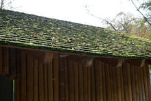 Roofing With Different Materials Is Overgrown With Moss And Other Plants