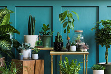 Modern Composition Of Home Garden Filled A Lot Of Beautiful Plants, Cacti, Succulents, Air Plant In Different Design Pots. Stylish Botany Interior. Green Wall Paneling. Template Home Gardening Concept