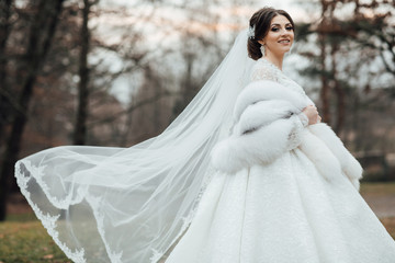 Beautiful bride in a magnificent white dress walking in nature. Bride with wedding makeup. The wind waves the bride's veil. Wedding day.