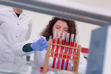 Young female Laboratory scientist working at lab with test tubes, test or research in clinical laboratory.Science, chemistry, biology, medicine and people concept.