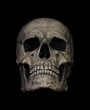 © Alexandr - Human Skull Isolated on black