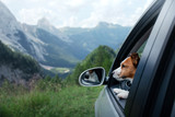 Fototapeta Tulipany - Ride with a dog in the car. Traveling with a pet. Jack Russell Terrier at the wheel. Adventure in the mountains