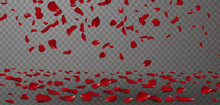 Falling Red Rose Petals Seasonal Confetti, Blossom Elements Flying Isolated. Abstract Floral Background With Beauty Roses Petal. Design For Greeting Cards On March 8, Women Day, Valentine's Day.