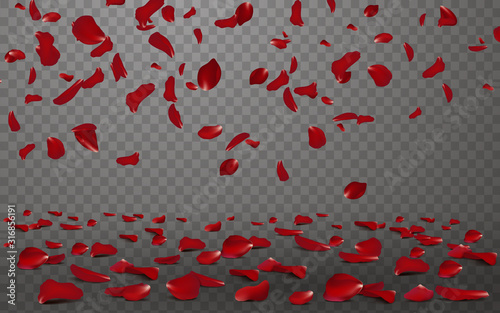 Cuadros en Lienzo Falling red rose petals seasonal confetti, blossom elements flying isolated