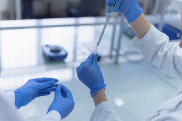 Group of  Laboratory scientists working at lab with test tubes, test or research in clinical laboratory.Science, chemistry, biology, medicine and people concept.