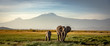 Leinwandbild Motiv elephants in front of kilimanjaro