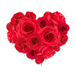 Vector Valentine’s day heart of red roses isolated on a white background.