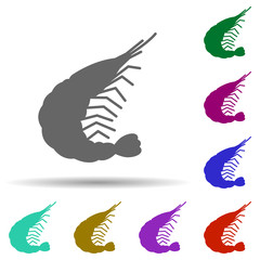 Poster - Prehistoric shellfish in multi color style icon. Simple thin line, outline vector of prehistoric icons for ui and ux, website or mobile application