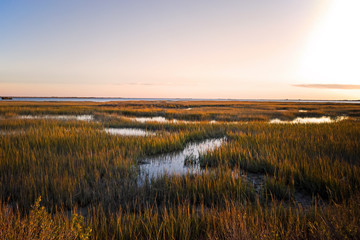saltmarsh on the virginia coast in usa in the golden sun at sunset. known as a coastal salt marsh or