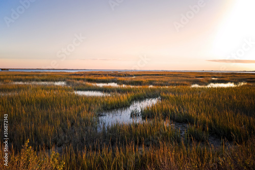 Cuadros en Lienzo Saltmarsh on the Virginia coast in USA in the golden sun at sunset