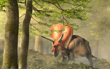 Aufkleber - Torosaurus was ceratopsian dinosaur that was a frilled and horned, four legged animal. It lived during the cretaceous period. In a dense forest. 3D Rendering