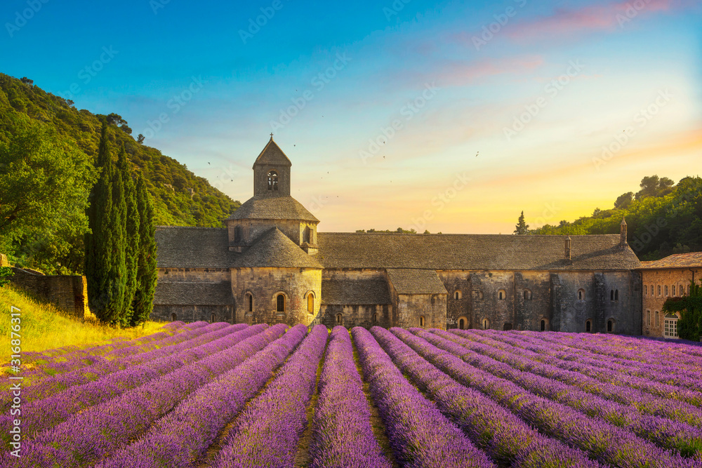 Abbey of Senanque blooming lavender flowers panoramic view. Gordes, Luberon, Provence, France. - obrazy, fototapety, plakaty 