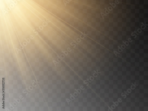Cuadros en Lienzo Vector transparent sunlight special lens flash light effect