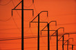 Silhouetted telephone lines