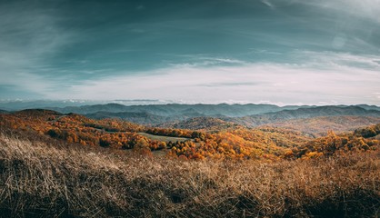max patch