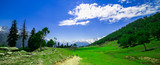 Fototapeta Na ścianę - Beautiful landscape view of Sonamarg in Thajiwas park in Jammu and Kashmir, India