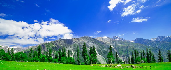 Beautiful landscape view of Sonamarg in Thajiwas park in Jammu and Kashmir, India