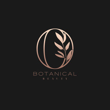 Letter O Botanical Elegant Minimalist Signature Logo