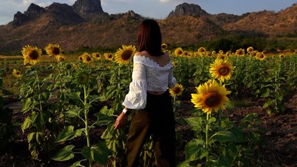 Wall Mural - slow-motion of cheerful woman walking and enjoying with sunflower field at Kao Jeen Lae in Lopburi, Thailand