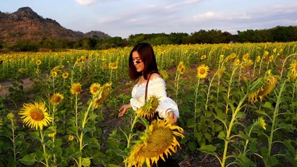 Wall Mural - slow-motion of cheerful woman walking and enjoying with sunflower field at Kao Jeen Lae in Lopburi, Thailand