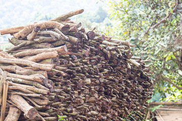 Wall Mural - Firewood pile stacked chopped wood trunks for winter heating fireplace and for use furnace kindling.