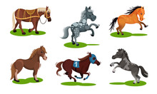 Different Horse Breeds Standing On The Ground Vector Set