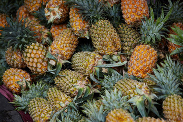 Canvas Print - Pineapple at Asian fruit market 