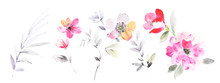 Flower Illustration Elements