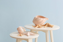 Beautiful Sea Shells And Starfish On Table Against Color Wall