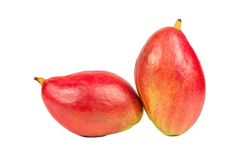 Wall Mural - Two mango fruits