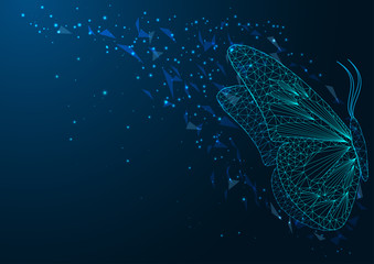 Futuristic web banner with beautiful glowing low polygonal sitting butterfly