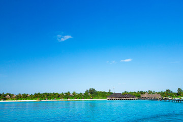 Canvas Print - tropical beach in Maldives with few palm trees and blue lagoon