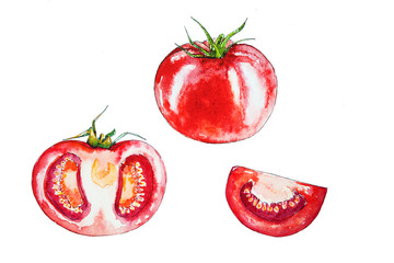 Set of red tomatoes isolated on white background. Illustration of set of red tomatoes.