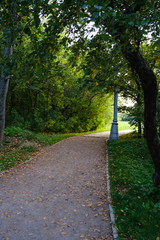 Wall Mural - Calm summer park curve road