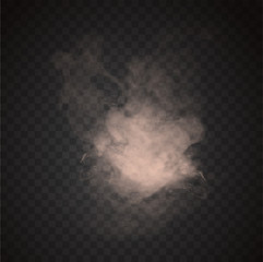 Wall Mural - cloud or puff of illuminated white smoke with trailing tendrils over a black background with copy sp