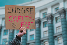The Phrase " Choose Cruelty Free " On A Banner In Men's Hand. Animal Rights Protest. Protection. City. Urban. Rally. Freedom. Stop Animal Testing. Equality. Justice. Care. Life. Humanity