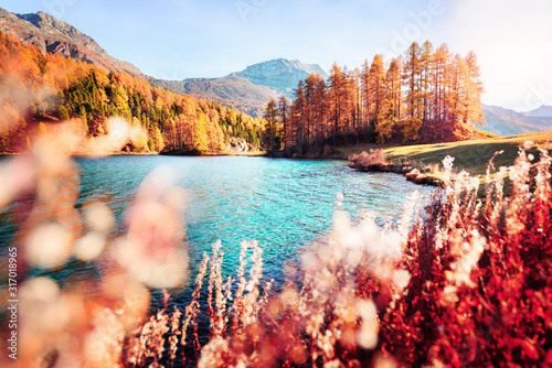malowniczy-widok-na-jezioro-silvaplana-w-alpach-szwajcarskich-szwajcaria-fotografia-krajobrazowa
