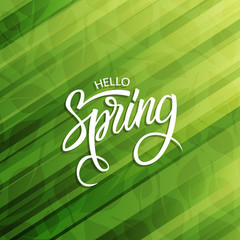 Poster - Handwritten phrase Hello Spring on green background. Lettering spring season with leaves for greeting card, invitation template. Creative typography for your design. Vector illustration.