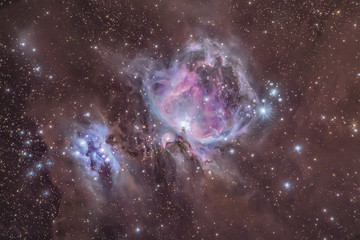 Wall Mural - m42 the great orion nebula 11 x 5 minute image stack, cornwall, uk