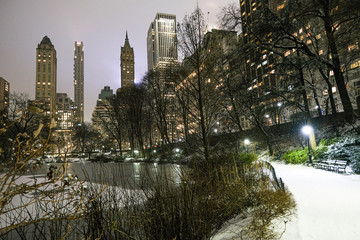 Canvas Print - Snow in Central park