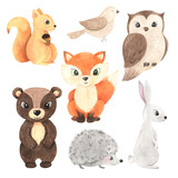 Fototapeta Fototapety na ścianę do pokoju dziecięcego - Cute cartoon watercolor forest animals set
