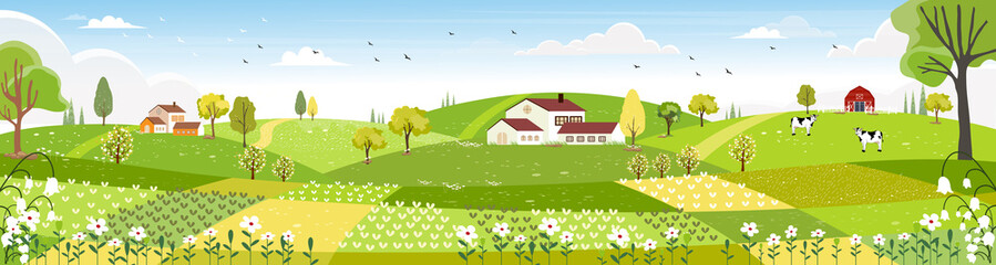 Wall Mural - Rural farm landscape with green fields, farm house, barn, animals cow, blue sky and clouds,  Vector cartoon Spring or Summer landscape, Panoramic countryside landscape